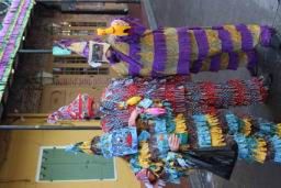 2026 02 17 Mardi Gras NOLA (1013).JPG